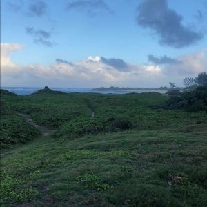 Meet your Posher, Antonia